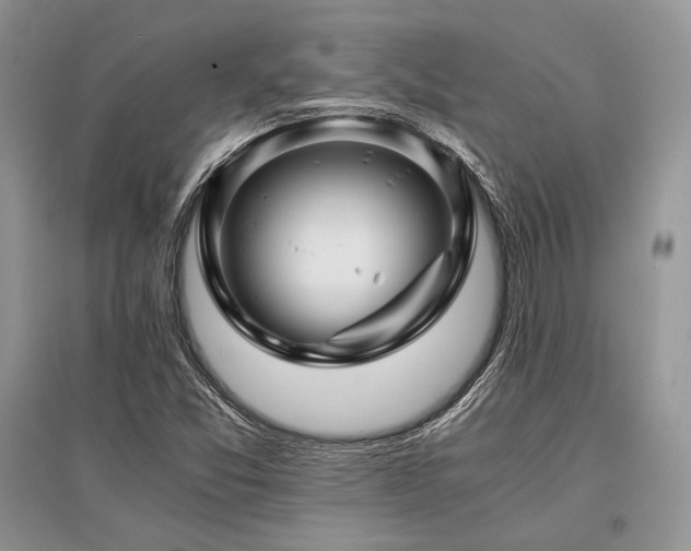 X0000096381357200801241227