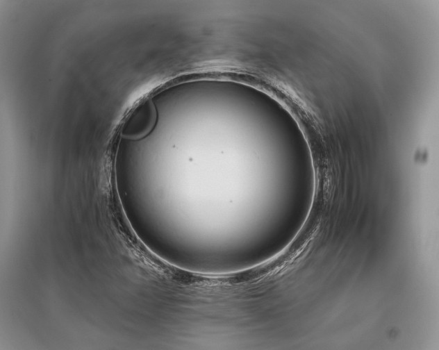 X0000096381358200801241227