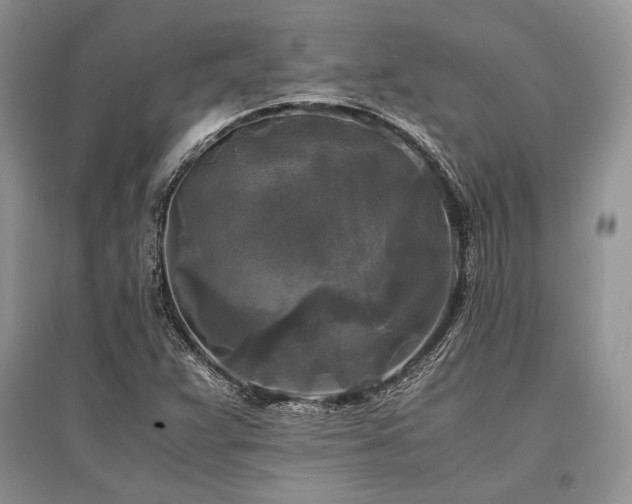 X0000096381359200801241227