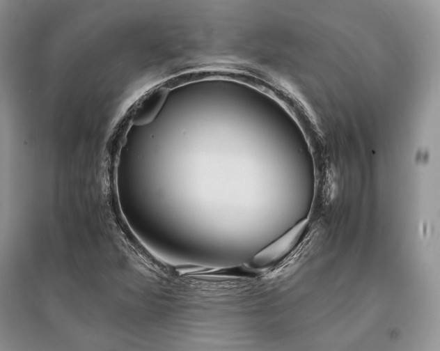 X0000096381360200801241227