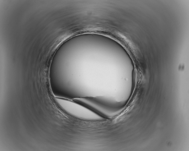 X0000096381361200801241227