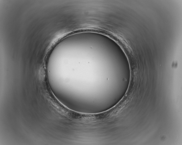X0000096381363200801241227