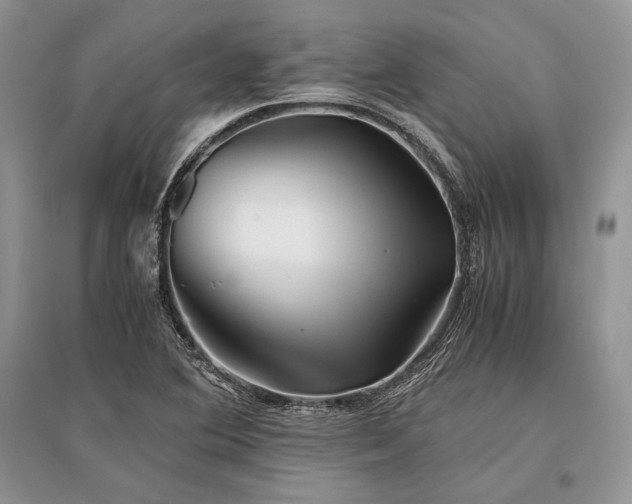 X0000096381364200801241227