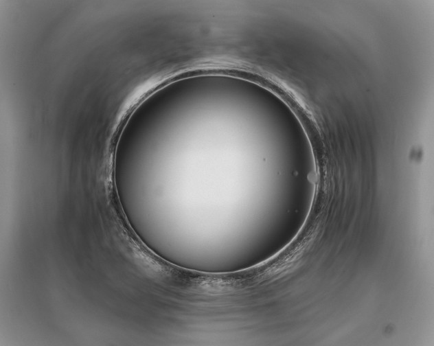 X0000096381366200801241227