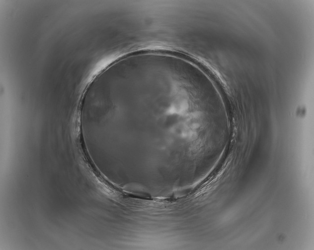 X0000096381367200801241227