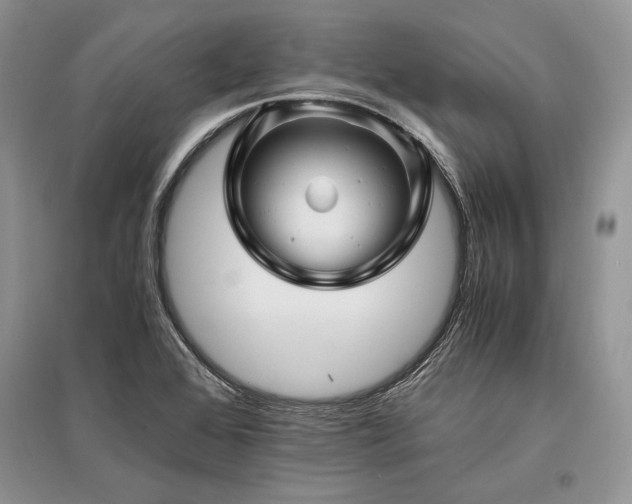 X0000096381368200801241227
