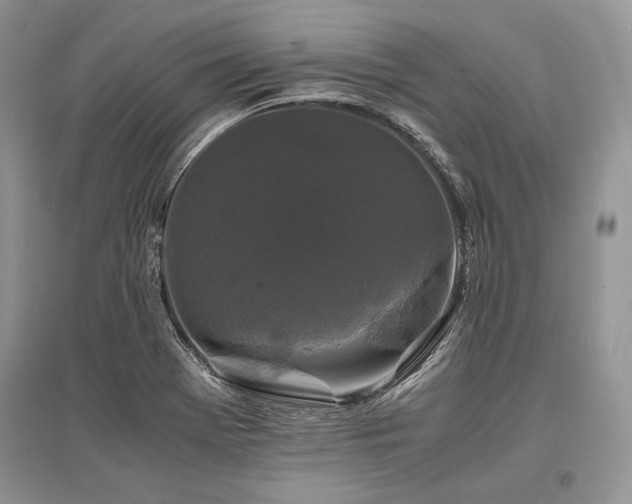 X0000096381369200801241227