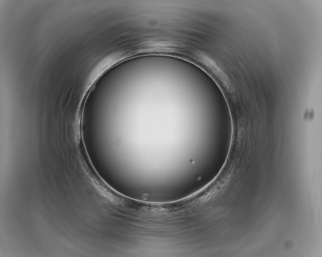 X0000096381370200801241227