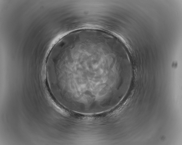 X0000096381371200801241227