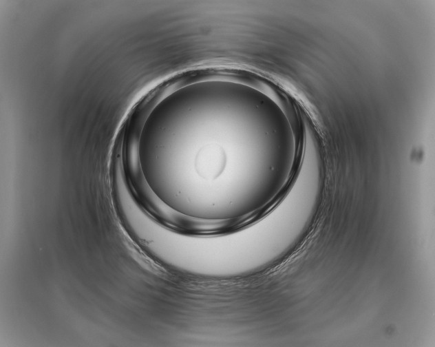 X0000096381372200801241227