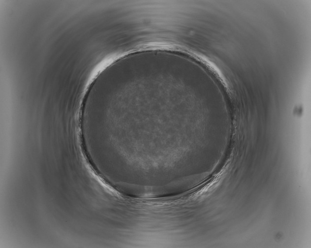 X0000096381373200801241227