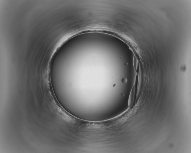 X0000096381374200801241227