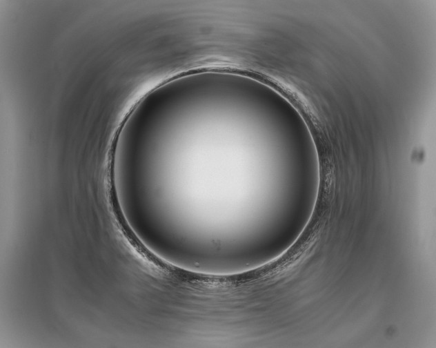 X0000096381375200801241227