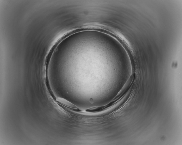 X0000096381376200801241227