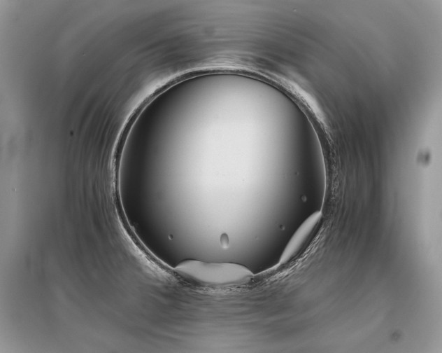 X0000096381380200801241227