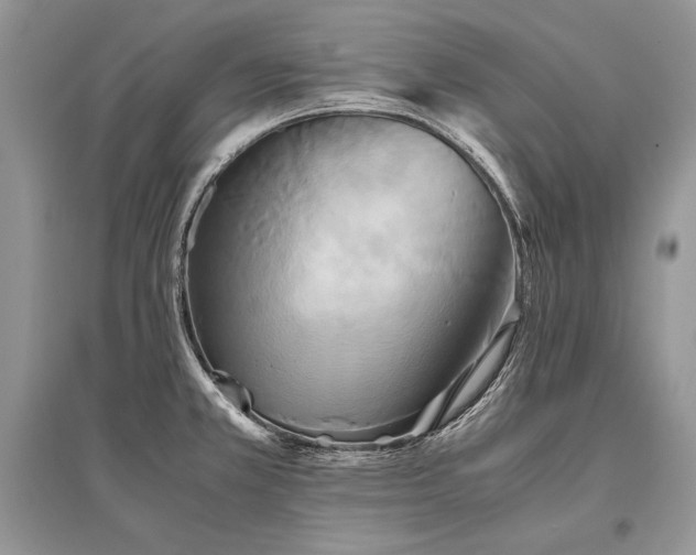 X0000096381381200801241227
