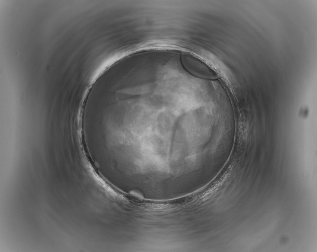 X0000096381382200801241227