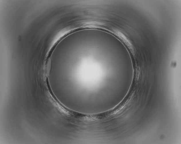 X0000096381384200801241227