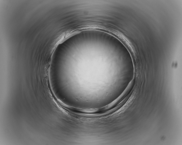 X0000096381385200801241227