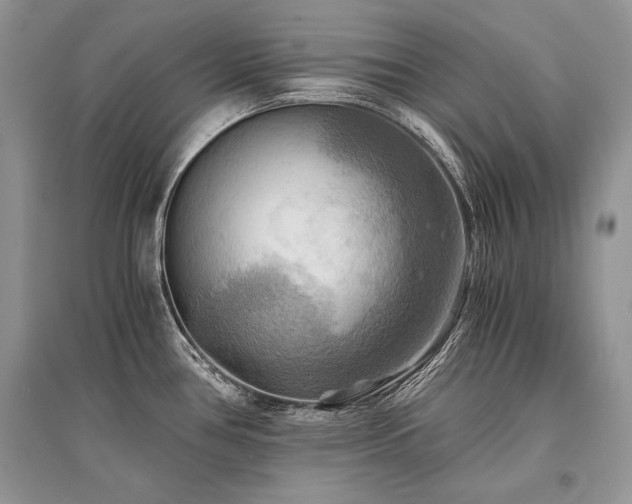 X0000096381386200801241227
