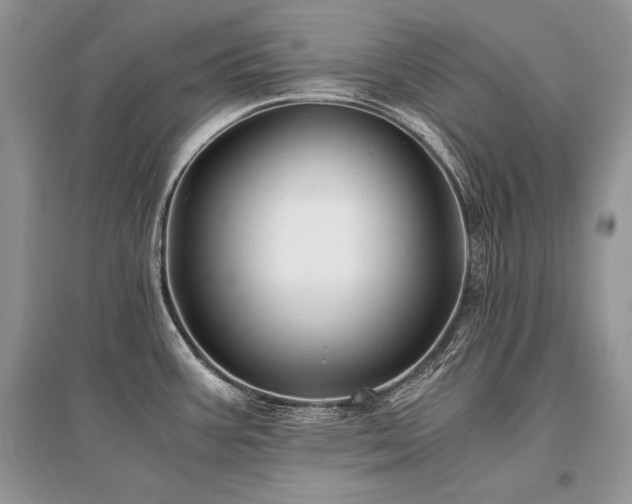 X0000096381387200801241227
