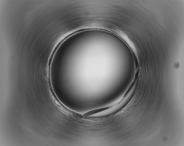 X0000096381388200801241227