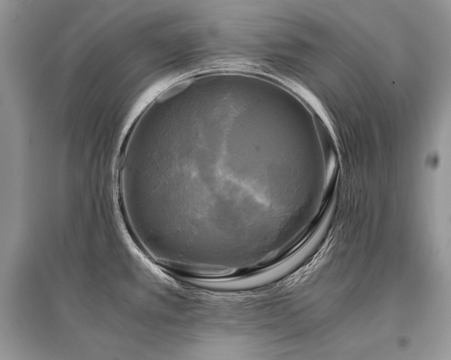 X0000096381389200801241227