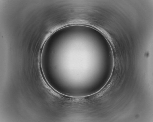 X0000096381390200801241227