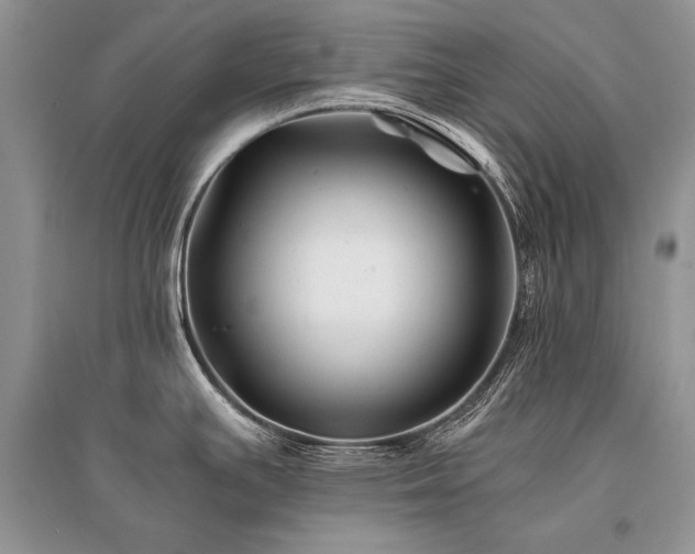X0000096381391200801241227