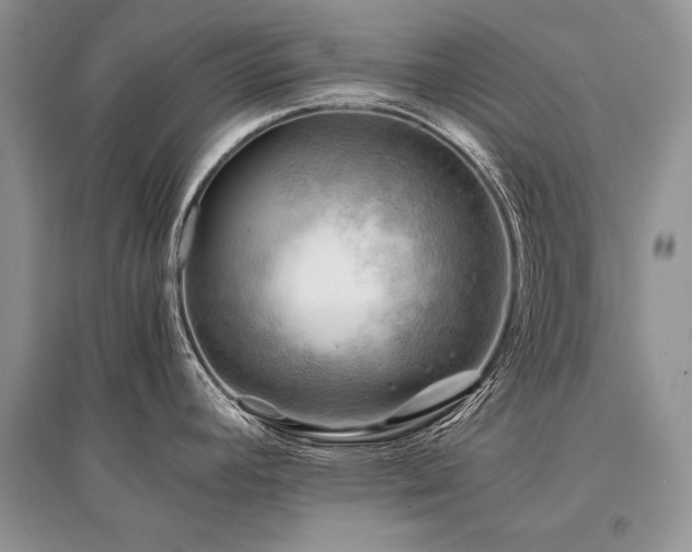 X0000096381392200801241227