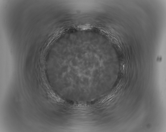 X0000096381393200801241226