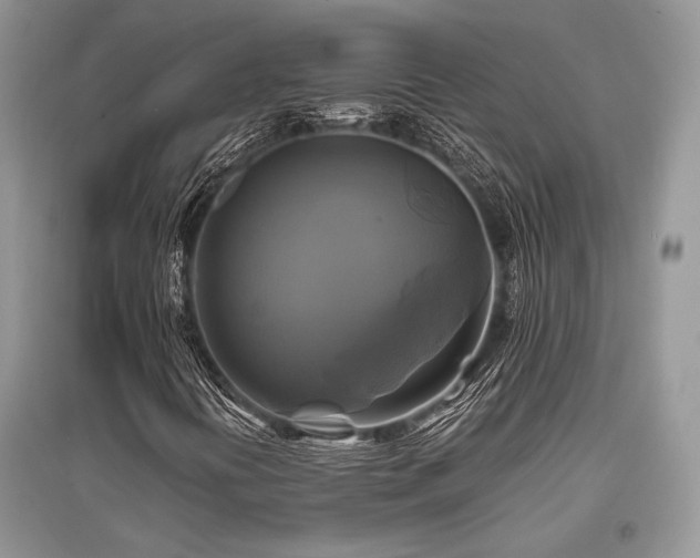 X0000096381394200801241226