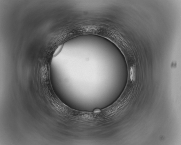 X0000096381395200801241226