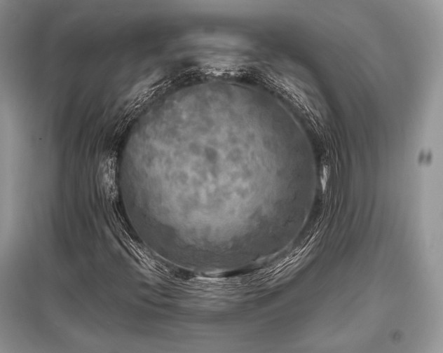 X0000096381396200801241226