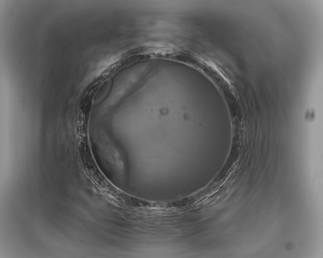 X0000096381399200801241226