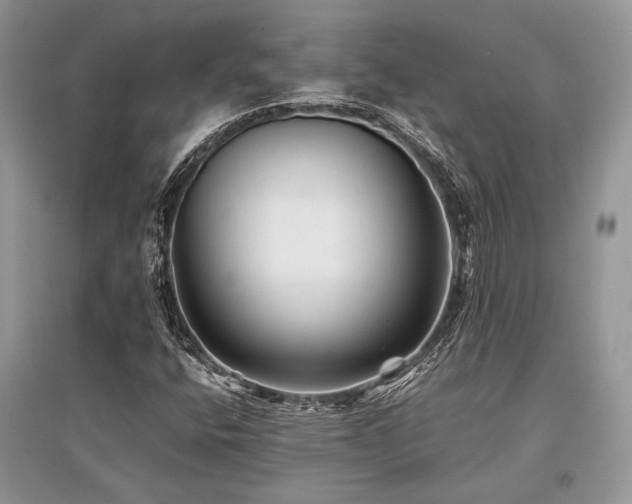 X0000096381400200801241226
