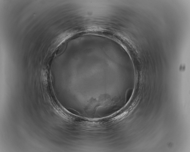 X0000096381401200801241226