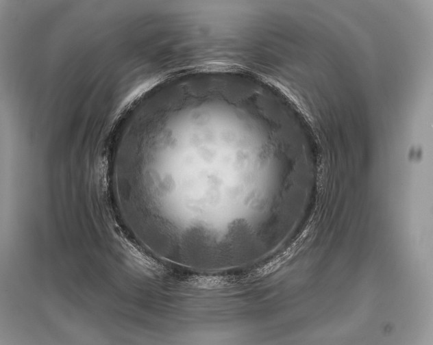 X0000096381402200801241226