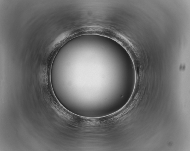X0000096381403200801241226