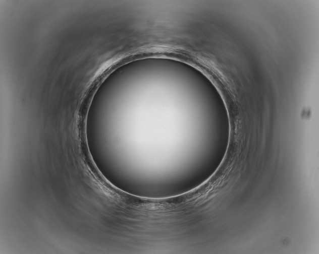 X0000096381404200801241226