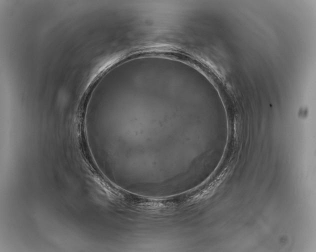 X0000096381405200801241226