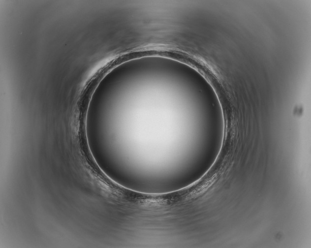 X0000096381406200801241226
