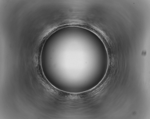 X0000096381407200801241226