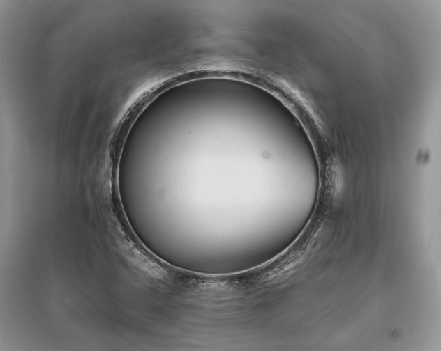 X0000096381408200801241226