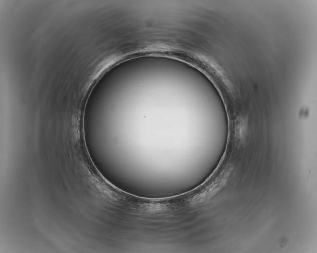 X0000096381409200801241226