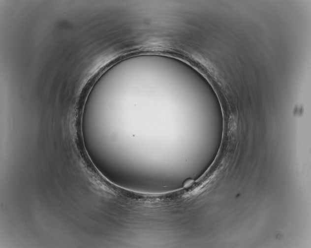 X0000096381410200801241226