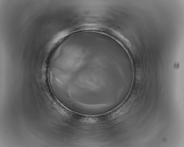 X0000096381411200801241226