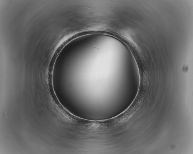 X0000096381412200801241226