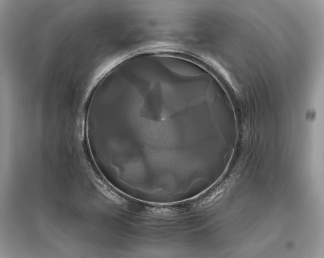X0000096381413200801241226