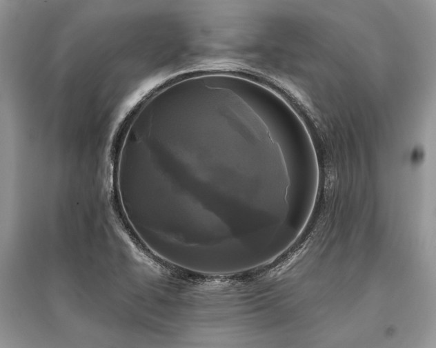 X0000096381414200801241226